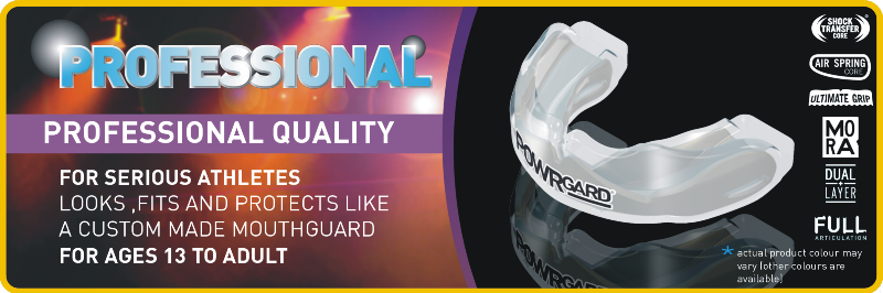 Professional Blue_White Banner 800.png